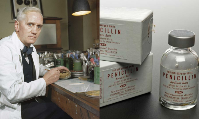 alexander-fleming_investigaciones-sobre-la-penicilina.png