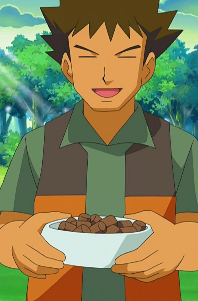 brock_pokmon.png