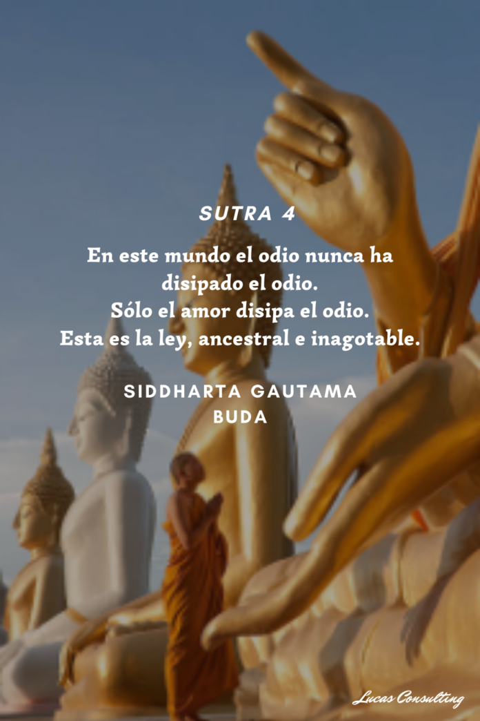 buda-gautama_sutras.png