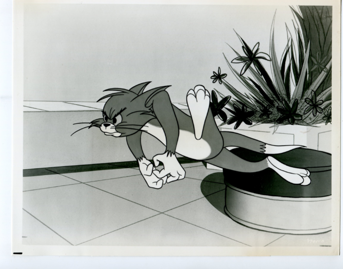 jerry_tom-y-jerry.png