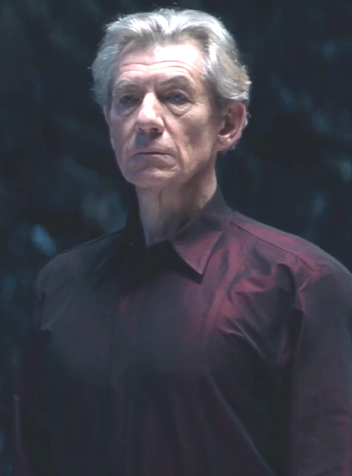 magneto-erik-lehnsherr_x-men.png
