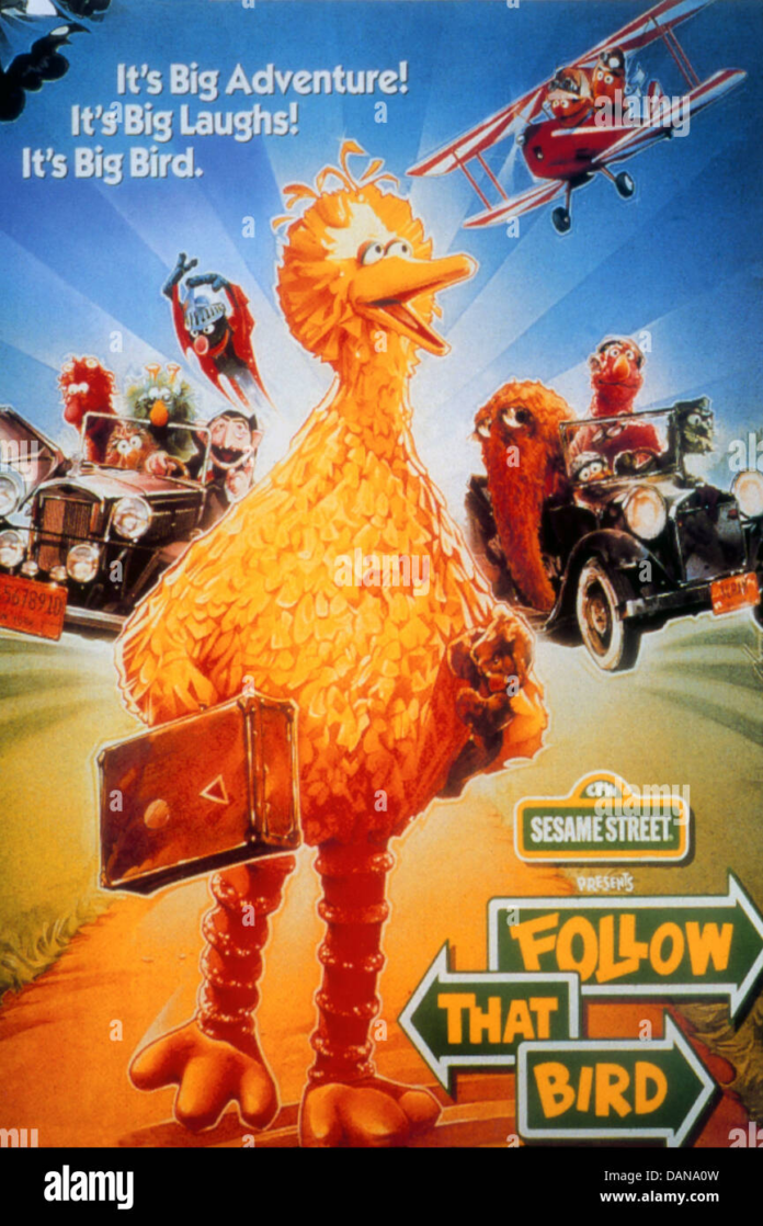 oscar-el-grun_follow-that-bird.png